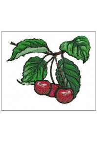 Plf042 - Cherries branch